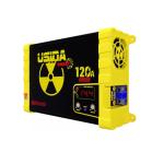 CARGADOR 120 AH USINA